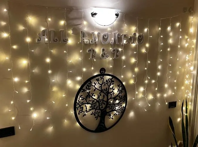 住宿加早餐酒店 All'anoneto 卡托纳